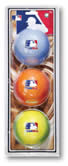 MLB Plastic Bat & Ball To Go Set 